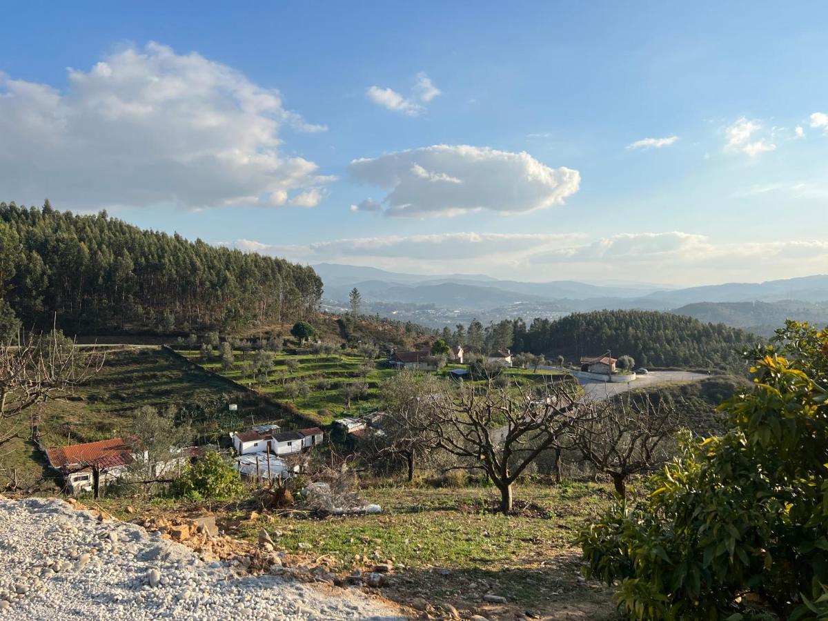 Cerdeirinhas De Basto "Piso Q 4" Daire Canedo de Basto Dış mekan fotoğraf
