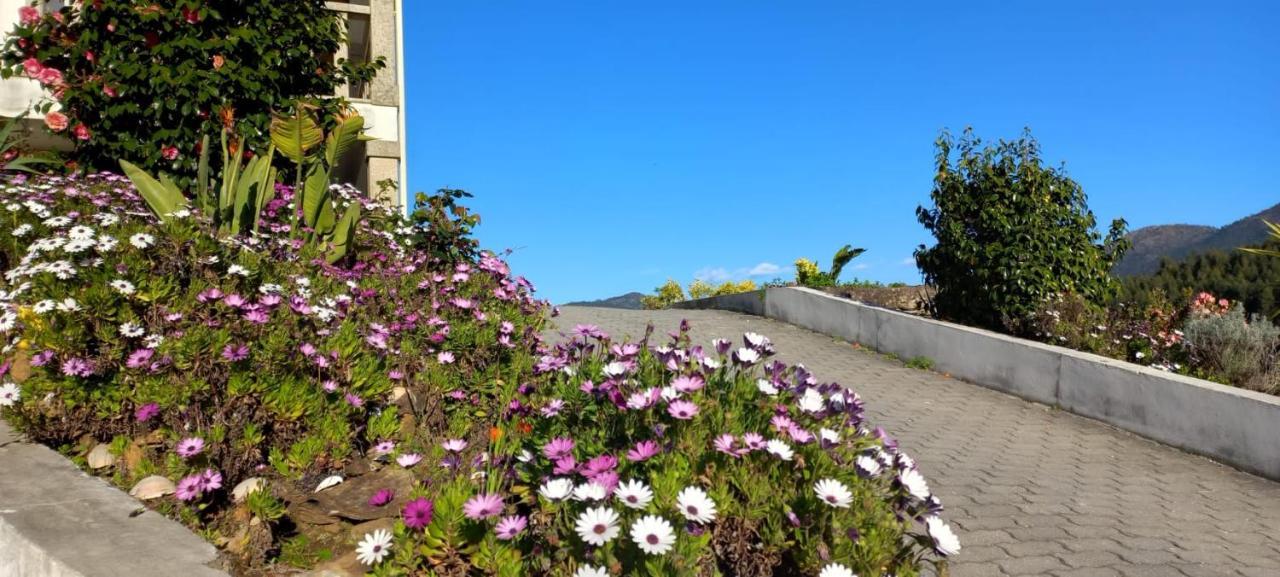 Cerdeirinhas De Basto "Piso Q 4" Daire Canedo de Basto Dış mekan fotoğraf